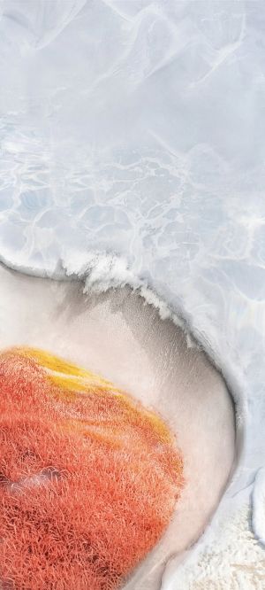 Wallpaper